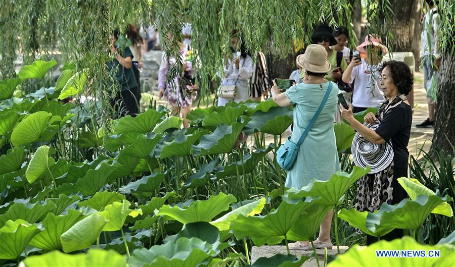 CHINA-BEIJING-YUANMINGYUAN-LOTUS-TOURISM (CN)