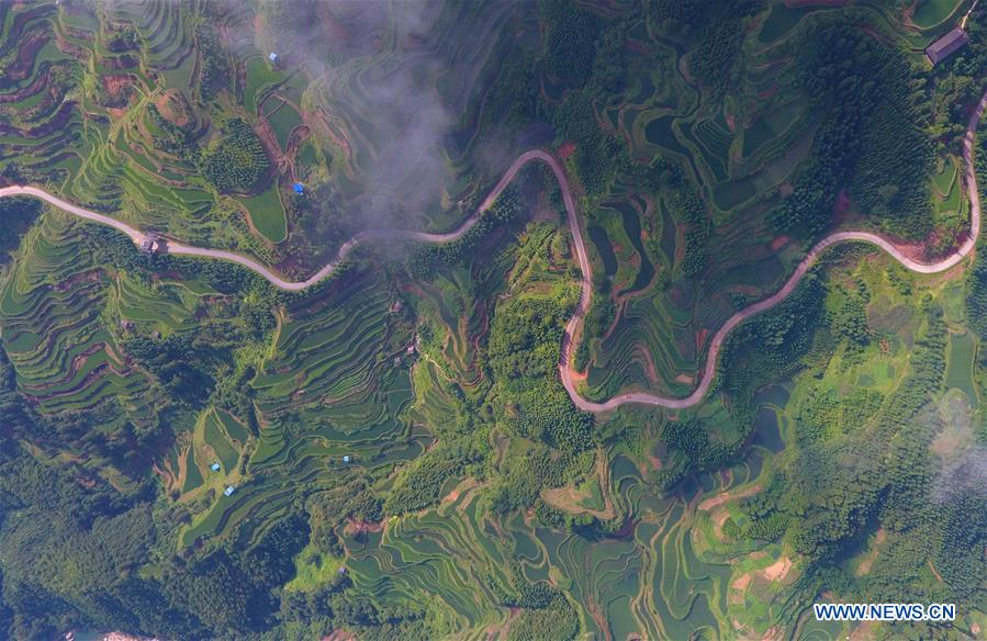 CHINA-GUANGXI-RONGSHUI-TERRACED FIELDS (CN)