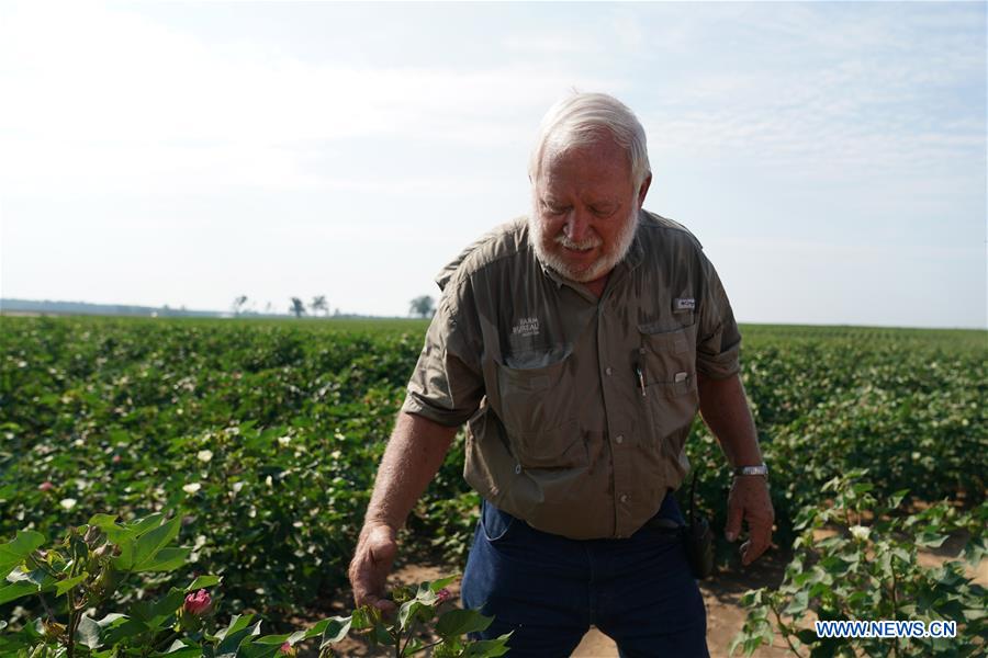 U.S.-GEORGIA-SYLVANIA-COTTON INDUSTRY-TARIFFS-TRADE