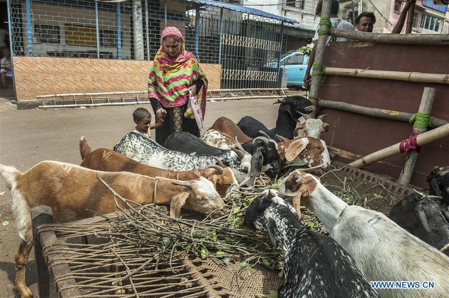 INDIA-KOLKATA-EID AL-ADHA-LIVESTOCK MARKET