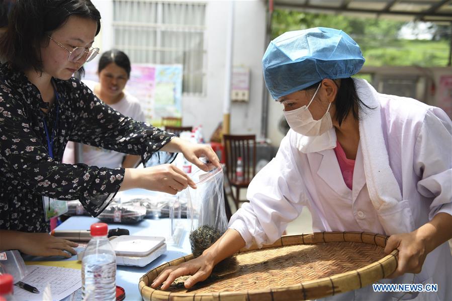 CHINA-GUANGXI-YULIN-STIR-FRYING-TEA-SKILL COMPETITION (CN)