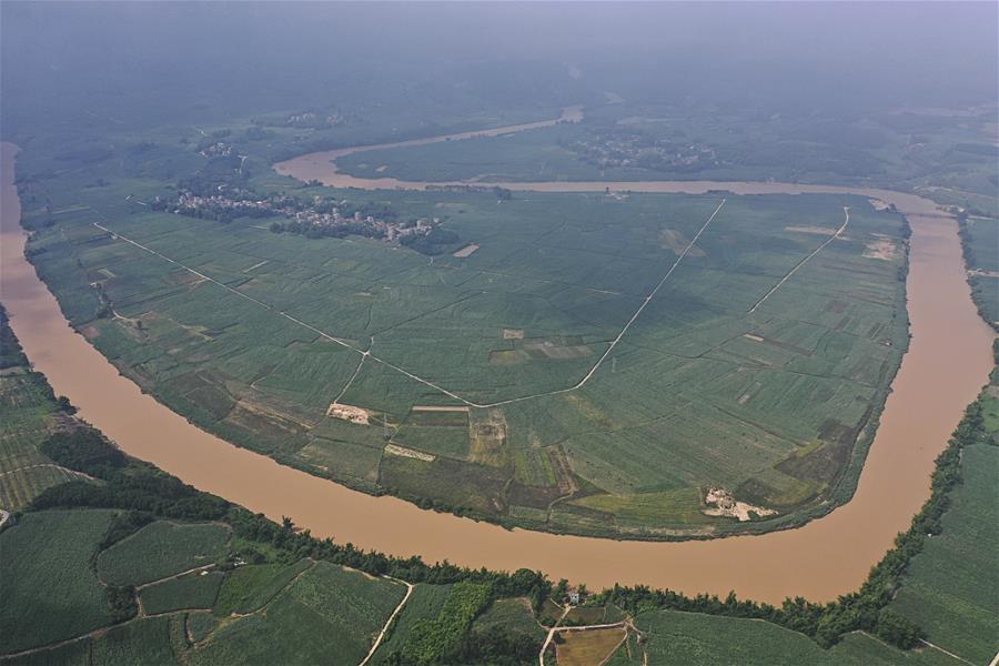 CHINA-GUANGXI-SHANGSI-SUGAR CANE FIELDS (CN)