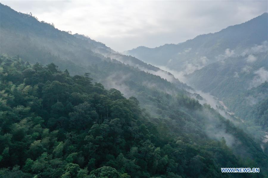 CHINA-FUJIAN-WUYISHAN-NATIONAL PARK-CREATURES (CN)