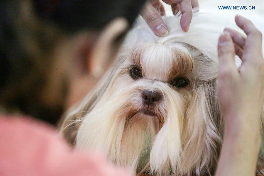 PHILIPPINES-MARIKINA CITY-DOG SHOW