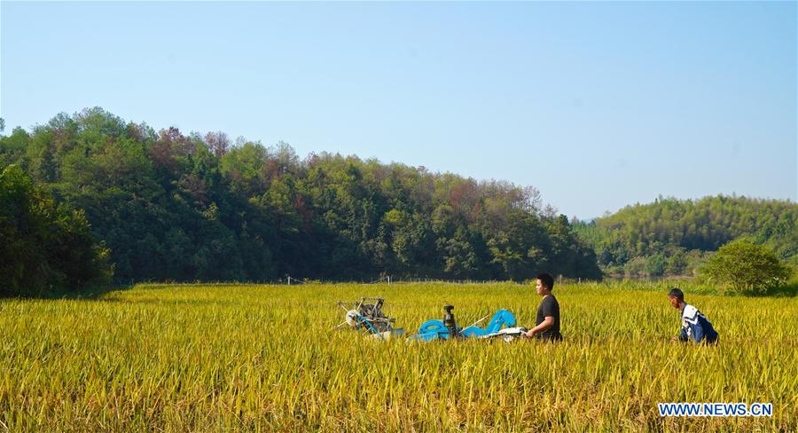 CHINA-JIANGXI-LICHUAN-FARMER-PAINTER (CN)