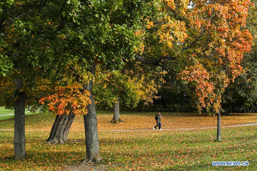 SWEDEN-STOCKHOLM-AUTUMN