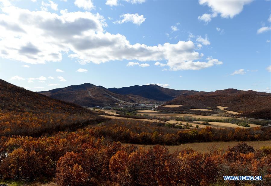 CHINA-INNER MONGOLIA-ZALANTUN-LANDSCAPE (CN)