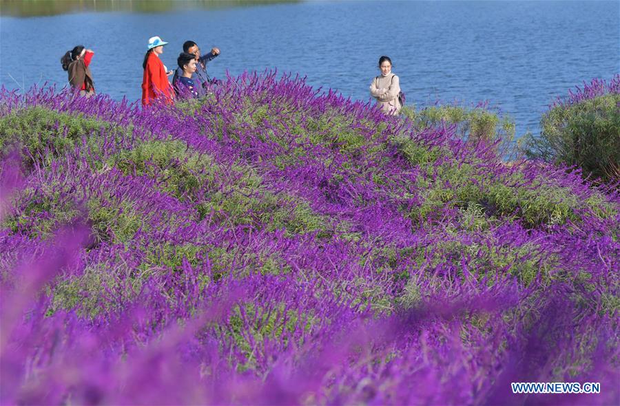 CHINA-YUNNAN-FLOWERS-TOURISM(CN)