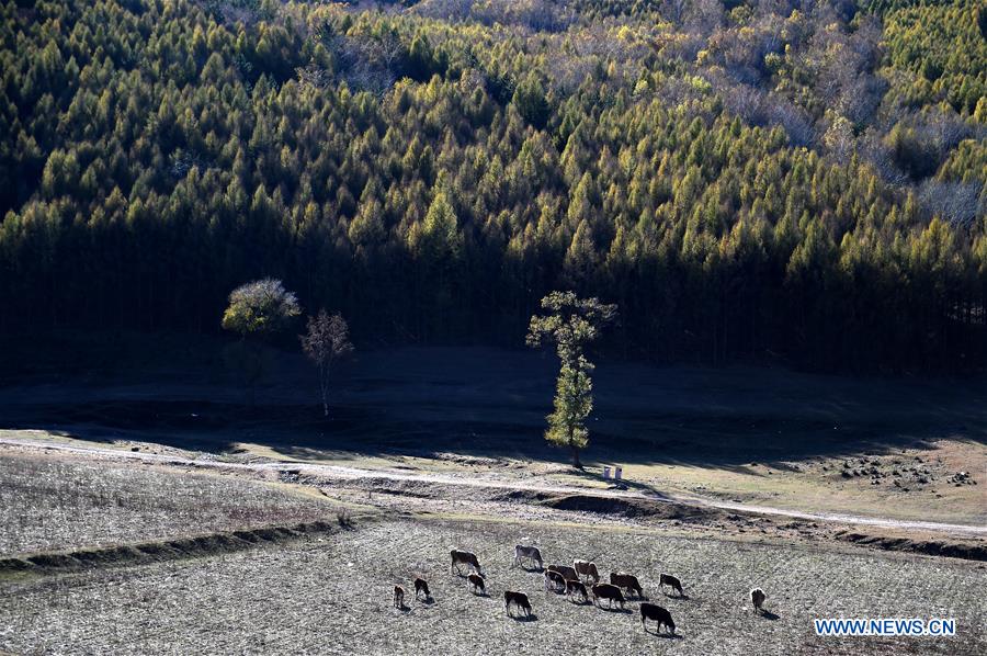 CHINA-INNER MONGOLIA-CHIFENG-SCENERY (CN)