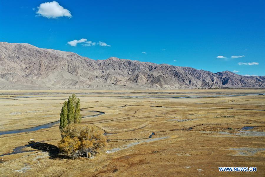 CHINA-XINJIANG-AUTUMN SCENERY (CN)