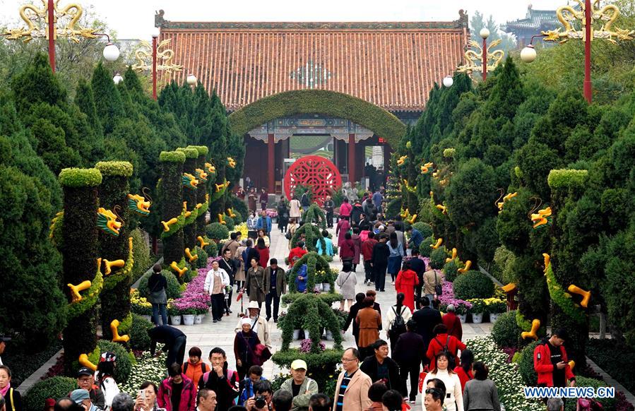 CHINA-HENAN-KAIFENG-CHRYSANTHEMUM (CN)