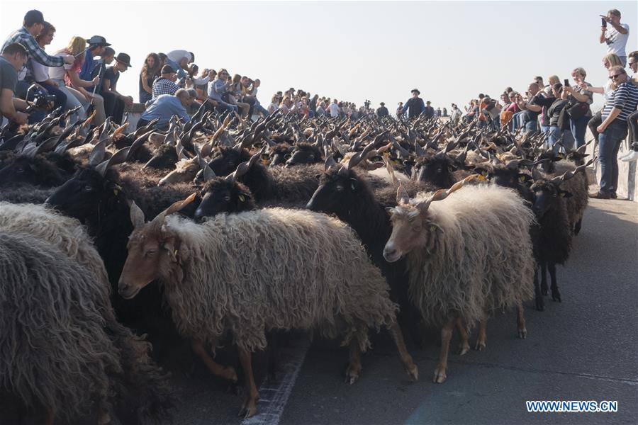 XINHUA PHOTOS OF THE DAY