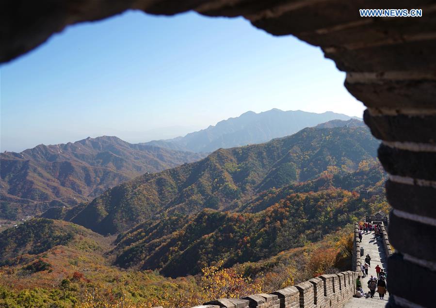 CHINA-BEIJING-GREAT WALL-AUTUMN SCENERY (CN)