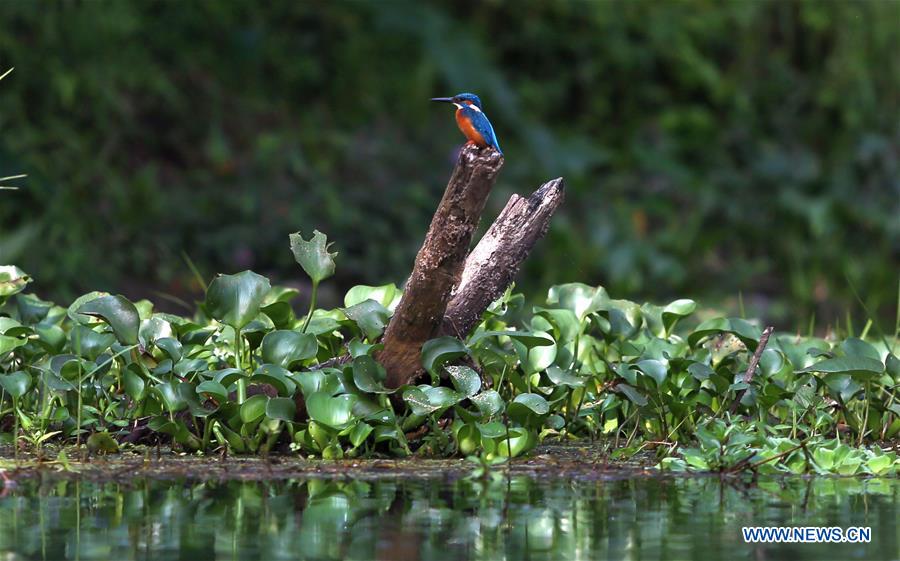 NEPAL-CHITWAN-TOURISM-DAILY LIFE