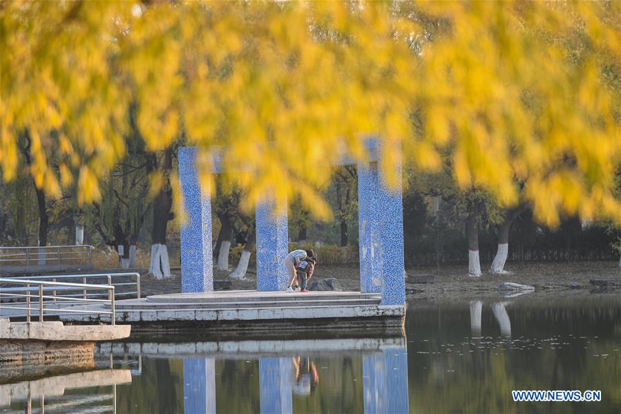 CHINA-INNER MONGOLIA-HOHHOT-AUTUMN SCENERY (CN)