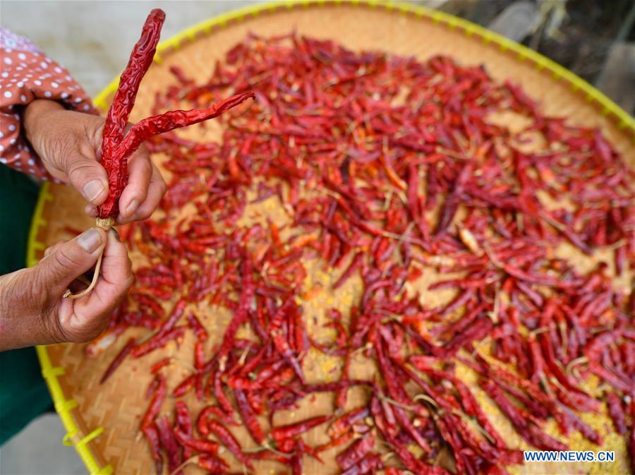 CHINA-JIANGXI-WUYUAN-FARMER-LIFE (CN)