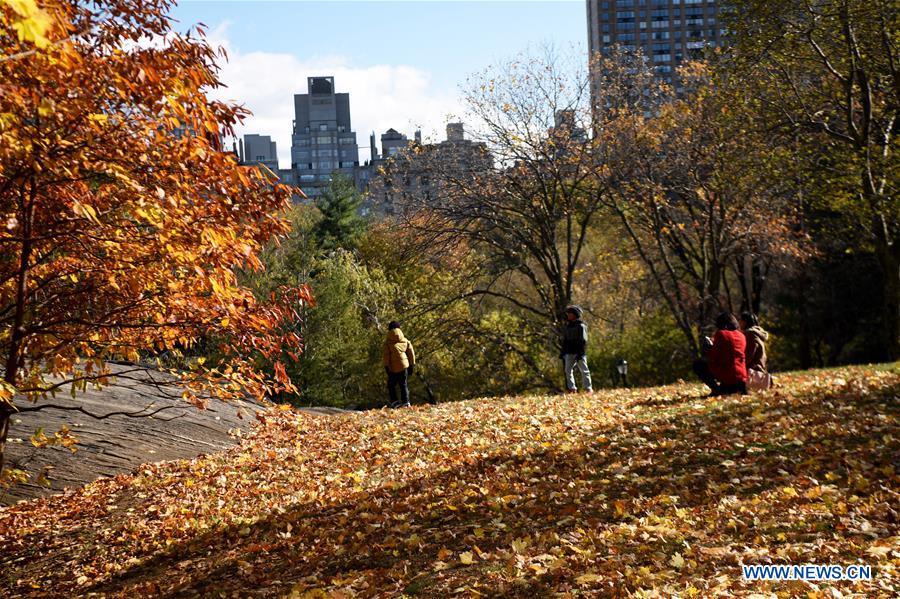 U.S.-NEW YORK-AUTUMN SCENERY