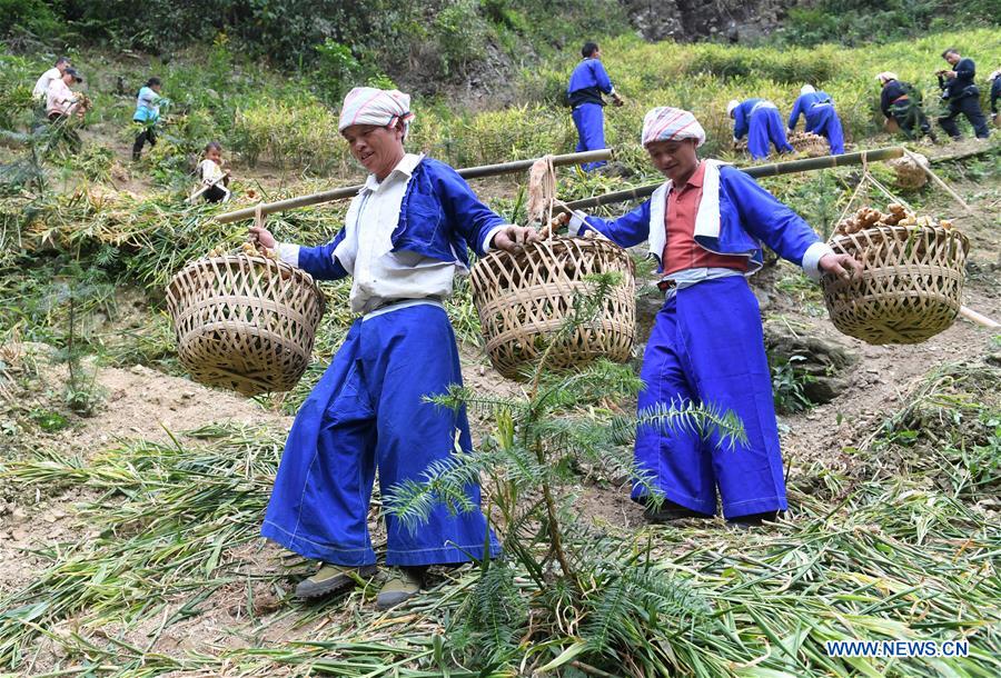 CHINA-GUANGXI-HEZHOU-YAO ETHNIC GROUP-POVERTY ALLEVIATION (CN)