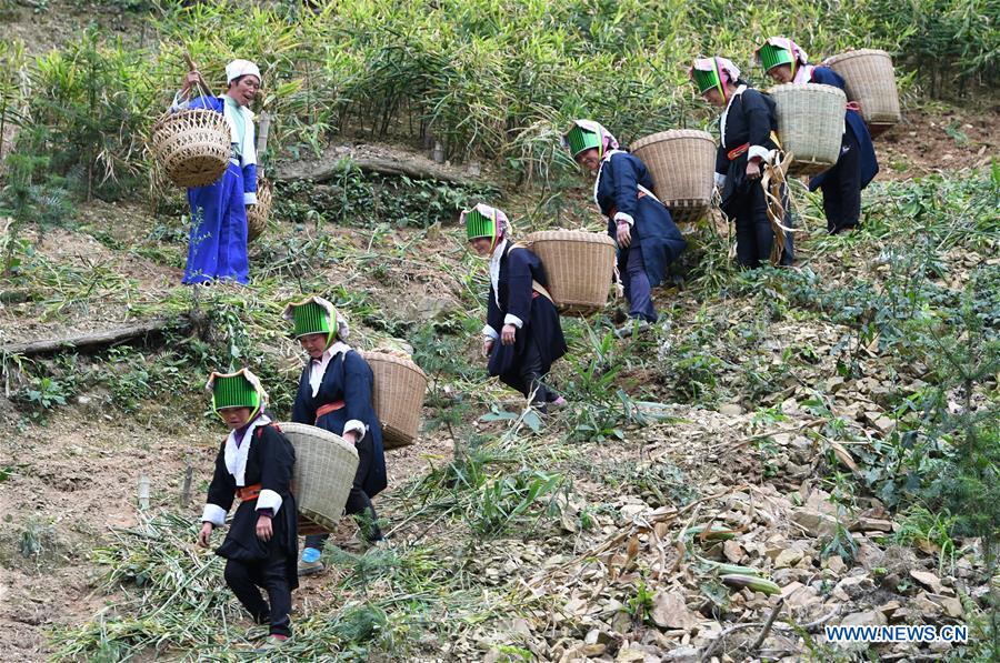 CHINA-GUANGXI-HEZHOU-YAO ETHNIC GROUP-POVERTY ALLEVIATION (CN)