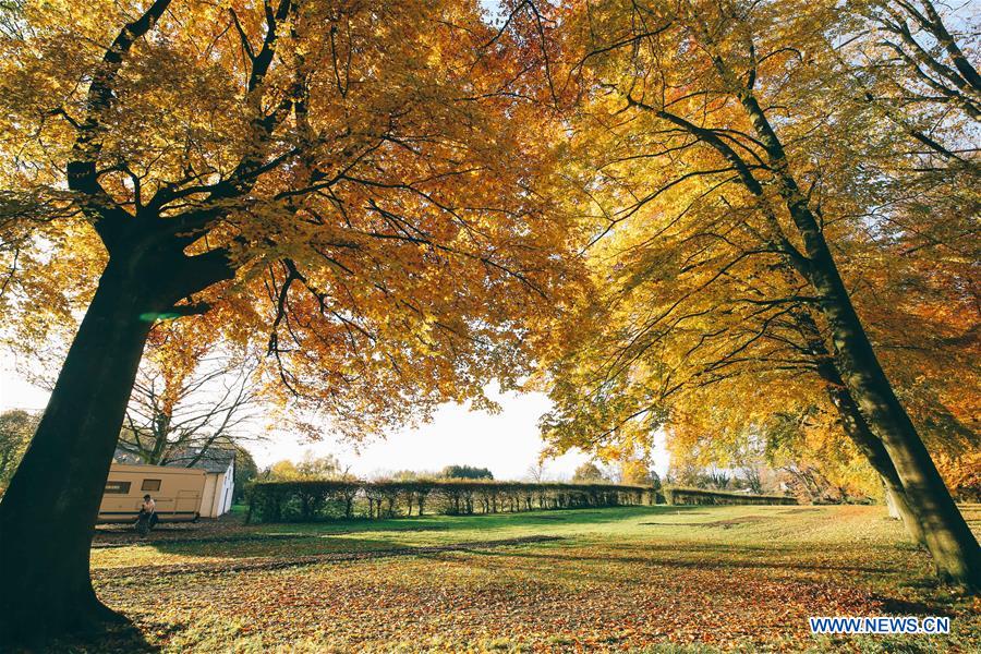 BELGIUM-BRUSSELS-AUTUMN SCENERY