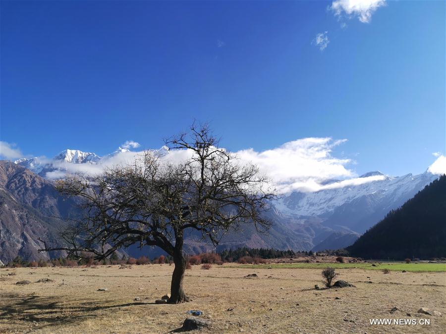 CHINA-TIBET-NYINGCHI-WINTER-SCENERY (CN)