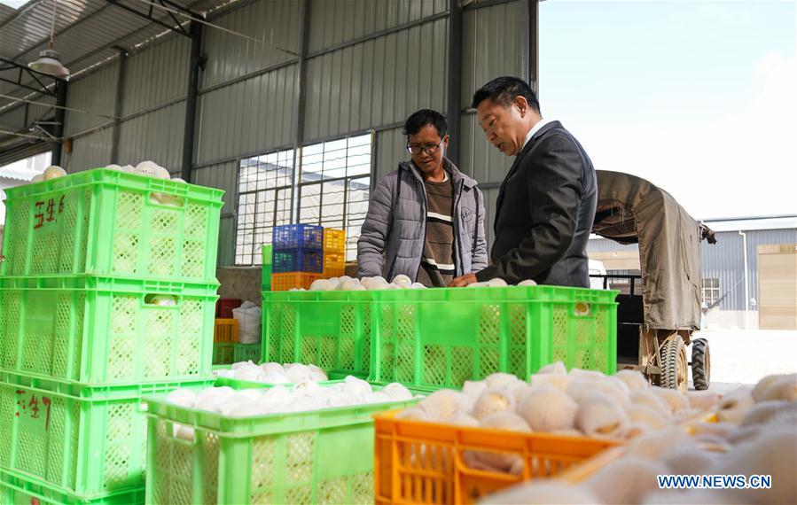 CHINA-YUNNAN-POVERTY ALLEVIATION-PEPINO MELON-INDUSTRY (CN)