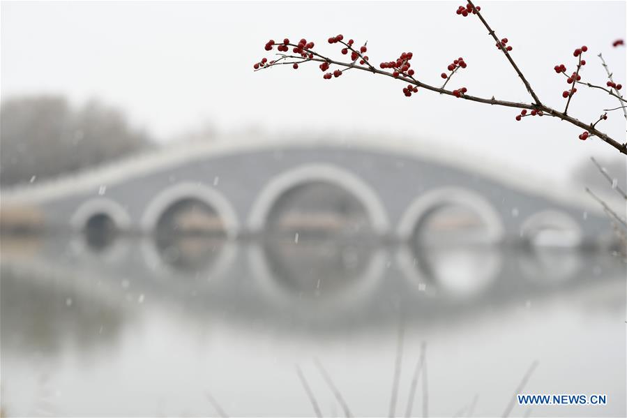 CHINA-NINGXIA-YINCHUAN-SNOWFALL (CN)