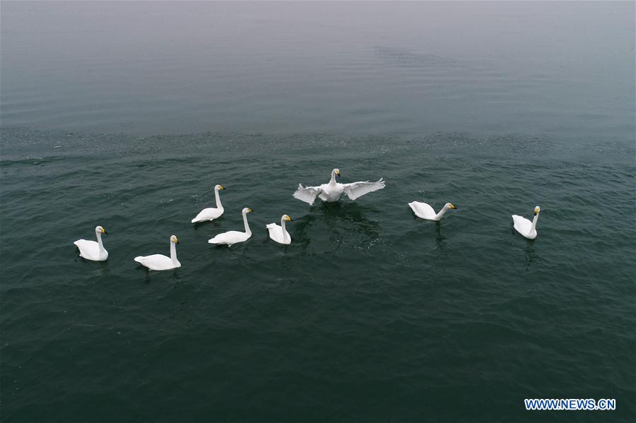 CHINA-SHAANXI-SHENMU-HONGJIANNAO LAKE-SCENERY (CN)