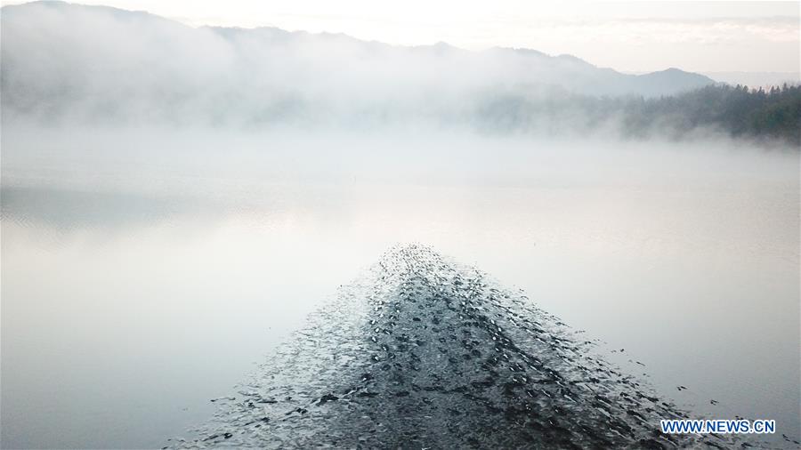 CHINA-ANHUI-WINTER-SCENERY (CN)