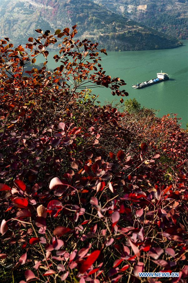 #CHINA-HUBEI-ZIGUI-THREE GORGES-SCENERY (CN)