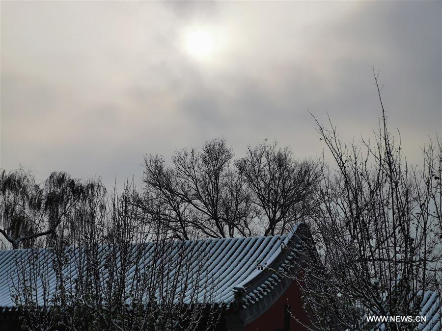 (BeijingCandid)CHINA-BEIJING-WINTER-BEIHAI PARK (CN)