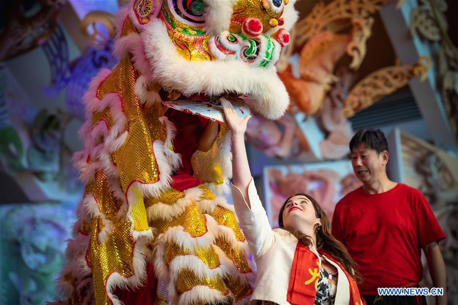 NEW ZEALAND-WELLINGTON-MULTICULTURAL FESTIVAL-CHINESE NEW YEAR-CELEBRATION