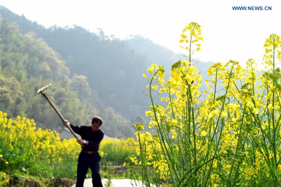 #CHINA-HUNAN-SPRING PLOUGHING(CN)