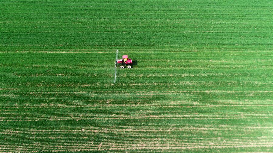 #CHINA-SPRING-FARMING (CN)