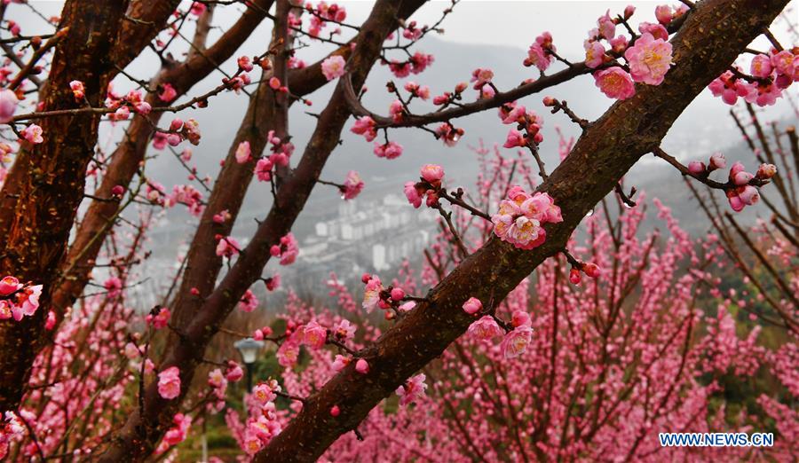 CHINA-SHAANXI-SPRING SCENERY (CN)