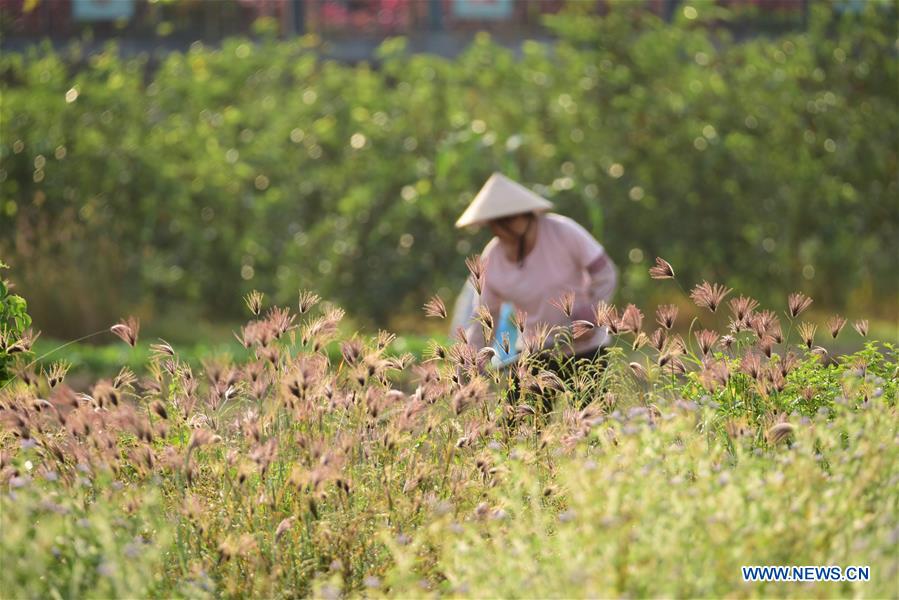 #CHINA-SPRING-FARMING (CN)