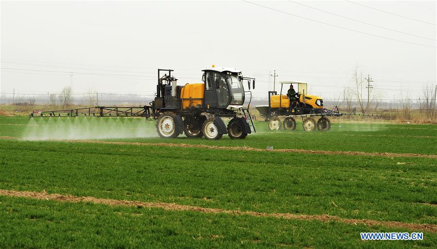 CHINA-HEBEI-BOTOU-SPRING FARMING (CN)