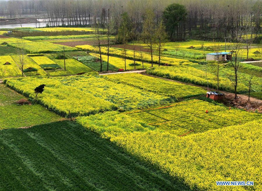 CHINA-HENAN-SPRING SCENERY (CN)