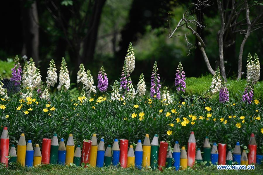 CHINA-ZHEJIANG-HANGZHOU-WETLAND PARK-FLOWER (CN)