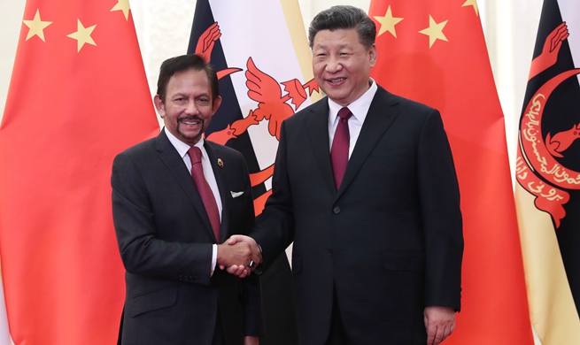 Xi meets Brunei's Sultan