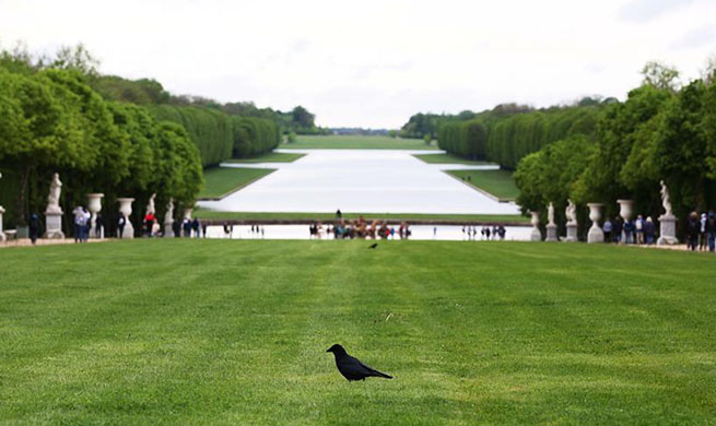 Scenery of Chateau de Versailles in suburbs of Paris