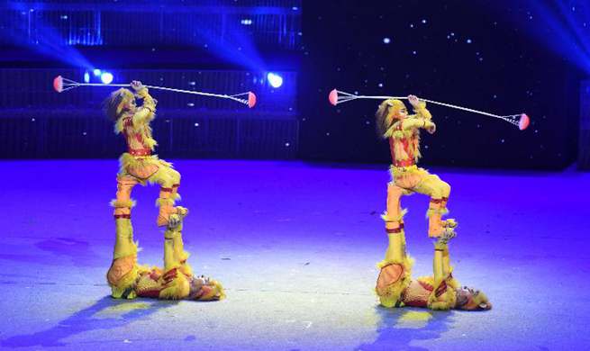 17th China Wuqiao Int'l Circus Festival held in China's Hebei