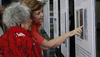 Spotlight: "Living fossils"-- evolution of Chinese script on show in Peru