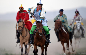 Efforts made to protect Mongolian horse culture