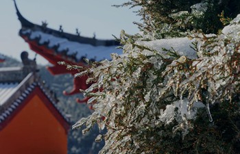 Take tour of Huangbaishan national forest park