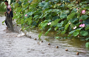 Three provinces of China make efforts to clean up water in tri-border area