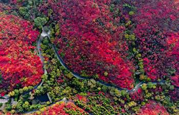 Scenery of Hongyegu scenic spot in Jinan