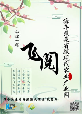 飛閱海豐蔬菜現(xiàn)代農業(yè)產(chǎn)業(yè)園