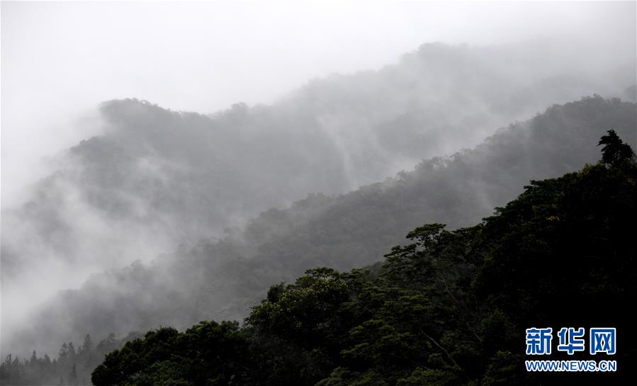 （環境）（1）熱帶雨林 百鳥家園