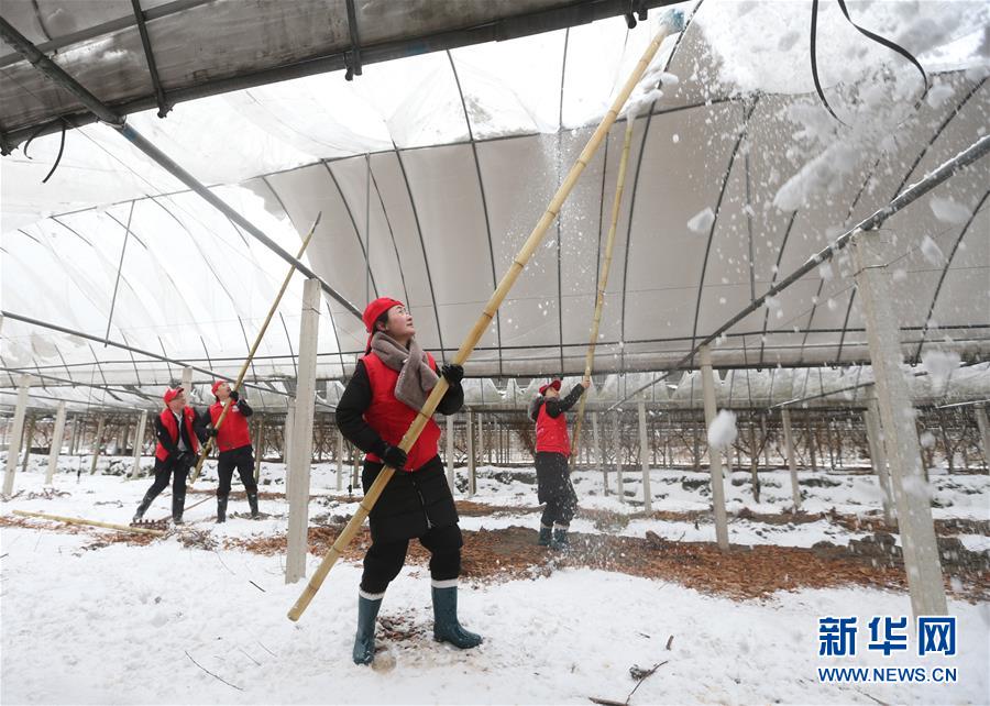 #（社會）（8）除冰掃雪保安全